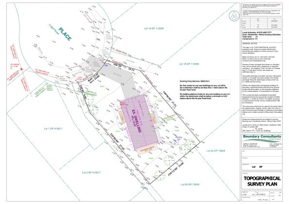 Boundary Consultant Topographic Plan